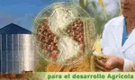 Arrancó la última fase para la definición de Agendas de Investigación Prospectivas