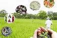 Agricultura orgánica rentable para el Caribe