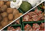 Precios mayoristas de los alimentos, cayeron 1,07%, en septiembre