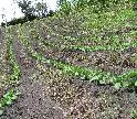 Minagricultura entrega planta de tratamiento cuarentenario en Cartagena
