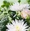 Flores colombianas se alistan para celebración del Día de las Madres en EE.UU.