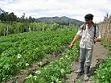 La política de tierras levantará ronchas y pisará callos dice Minagricultura