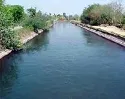 Incoder socializa plan agropecuario para Distrito de Riego Tesalia – Paicol.