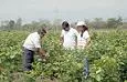 Convenio por $7.240 millones suscriben Minagricultura, CORPOICA y CIAT para desarrollo de la Orinoquia