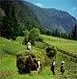 La tasa de desempleo rural en el trimestre junio-agosto de 2011 se ubicó en 8,2%, igual al mismo periodo de 2010 