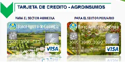 Si no bajan los precios de los insumos, el Gobierno intervendrá: MinAgricultura - 11 de Diciembre de 2013
