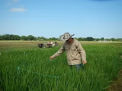Proyecto de Adaptabilidad Climática Respaldado por MinAgricultura Recibe Reconocimiento de la ONU - 09 de Septiembre de 2014