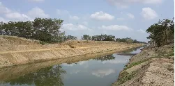 Aunap Entrega 150 mil Alevinos de Tilapia Roja en Ibagué - 18 de Noviembre de 2014