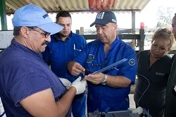 Corpoica: Mejorando la Productividad del Ganado Bovino a través del Mejoramiento Genético - 25 de Noviembre de 2014