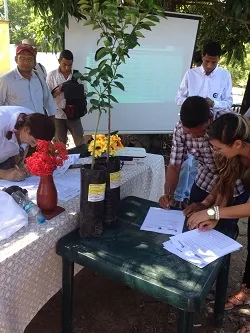 Corpoica entregó 12.000 Árboles de Cítricos en la Depresión Momposina dentro del Plan Nacional de Semillas - 01 de Diciembre de 2014
