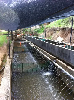 Implementación de Proyectos de Acuicultura y Pesca son Ejemplos de Sostenibilidad - 10 de Diciembre de 2014