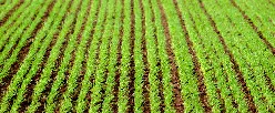 Se Fortalece el Financiamiento al Agro y la Implementación del Seguro Agropecuario - 29 de Enero de 2015