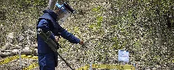 Desminado, fundamental para la Colombia del posconflicto y la restitución - 13 de Abril de 2015