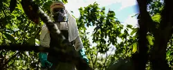 MinAgricultura logra que la CAN apruebe importación directa de plaguicidas - 29 de Abril de 2014