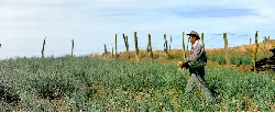 Con la creación de más de 200 mil empleos rurales, Colombia avanza en lucha contra la pobreza - 04 de Mayo de 2015