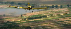MinAgricultura, a la espera de análisis sobre uso del glifosato - 06 de Mayo de 2015