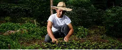 Se buscan casos de éxito agropecuarios para feria Expo Milano 2015 - 13 de Mayo de 2015