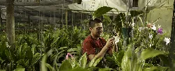 Taller para floristas en Barranquilla - 17 de Junio de 2015