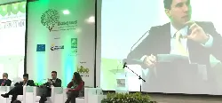 En los próximos tres años se sembraran 150 mil hectáreas en maderables comerciales - 24 de Agosto de 2015