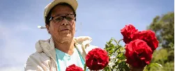 Flores colombianas para el mercado inglés - 27 de Agosto de 2015
