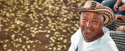 En manos de jueces de Urabá, tierras despojadas por el Fondo Ganadero de Córdoba - 04 de Septiembre de 2015