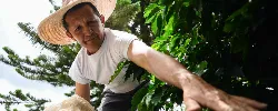 $ 5,36 billones en crédito para el campo - 16 de Septiembre de 2015