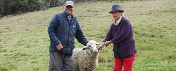 Ponen en marcha alianza para fortalecer Cadena Ovino Caprina en el municipio de Cucunubá - 19 de Octubre de 2015