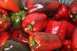 Seminario Internacional de Cultivos Hortícolas de Altas Temperaturas para el Caribe Colombiano se realizará en el Centro de Investigación Turipaná de Corpoica - 30 de Octubre de 2015