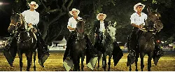 Ganaderos y caballistas acceden a nuevos instrumentos de financiación - 04 de Noviembre de 2015