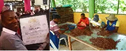 Tumaco sabe a cacao - 09 de Noviembre de 2015