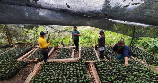 Familia beneficiaria de restitución de tierras en Arboledas, Norte de Santander, firma contrato de comercialización de café