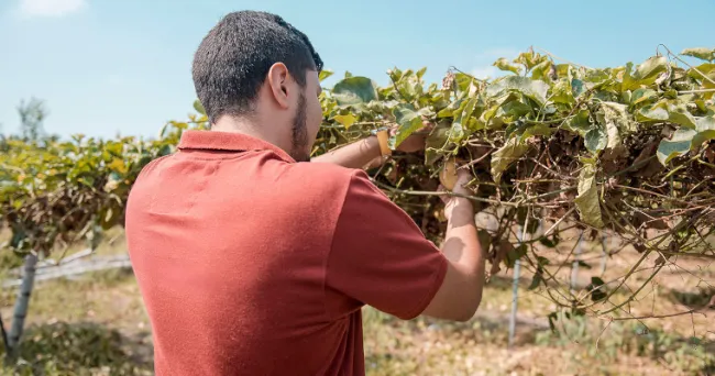 Cuando el campo escucha, los jóvenes se quedan