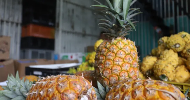 En junio bajaron los precios de frutas frescas, carne de cerdo y procesados