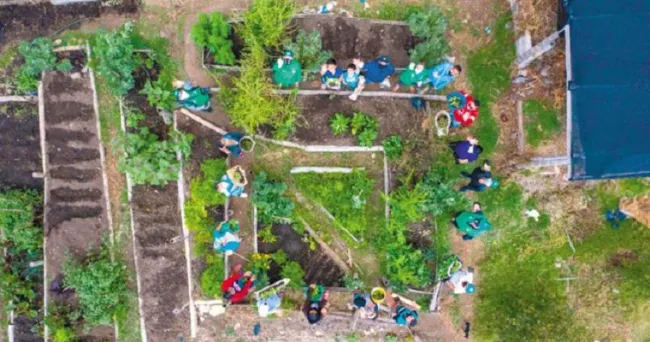 La apuesta por la agricultura sostenible en Bogotá