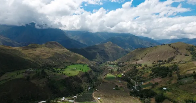 Investigadores realizaron la primera revisión de la literatura sobre las causas de la deforestación en Colombia y su relación con políticas de desarrollo y paz