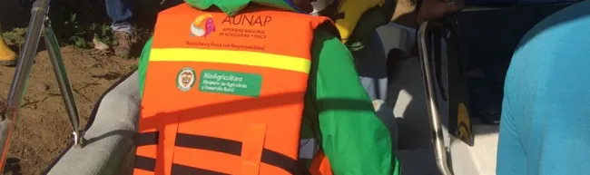NO ES MILAGRO EL REGRESO DEL BOCACHICO CRIOLLO AL CARIBE COLOMBIANO: AUNAP - 17 de agosto de 2017