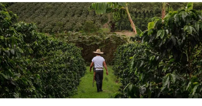 Gobierno presenta recomendaciones para proteger la salud de productores del campo