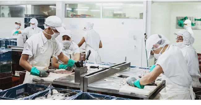 Ministerio de Agricultura comparte recomendaciones de Minsalud para atender posibles casos de Covid 19 en plantas de producción de alimentos