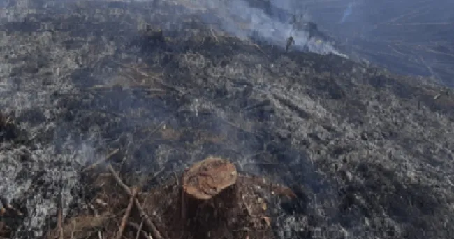 FEDEMADERAS rechaza los hostigamientos contra Smurfit Kappa Colombia