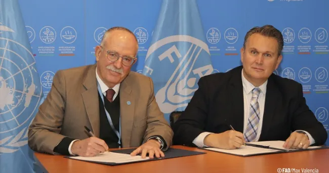 FAO y CGIAR trabajan para impulsar la ciencia y la innovación en los sistemas agroalimentarios de América Latina y el Caribe