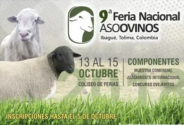 Estas son las actividades de la 9ª Feria Nacional de Asoovinos