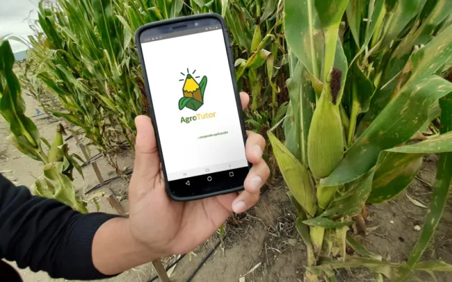 Otorgan premio internacional de analítica a centros del CGIAR por herramientas de agricultura sustentable