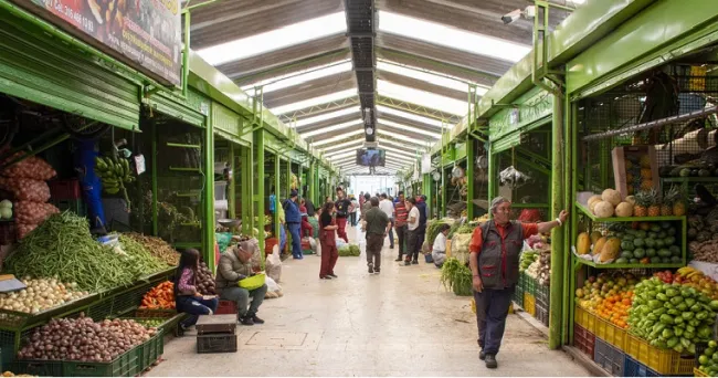 Cambios en producción agrícola de la Sabana de Bogotá en el siglo XX afectaron su soberanía alimentaria