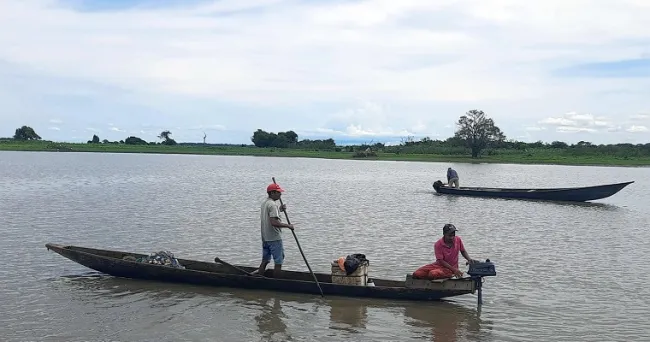 Tilapia roja y zapallo impulsan economía en Valle del Cauca y Cesar