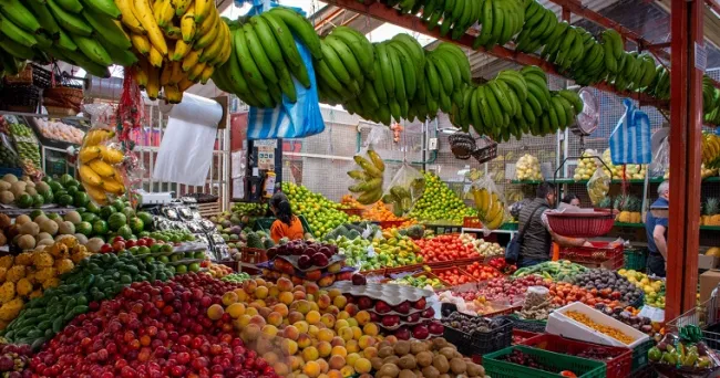 Con mosca soldado reducirán desperdicio de alimentos en el Valle del Cauca