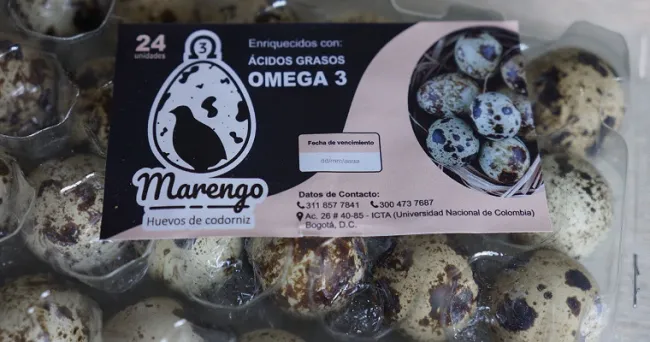 ¡A la venta ya! primeros huevos de codorniz enriquecidos con omega 3