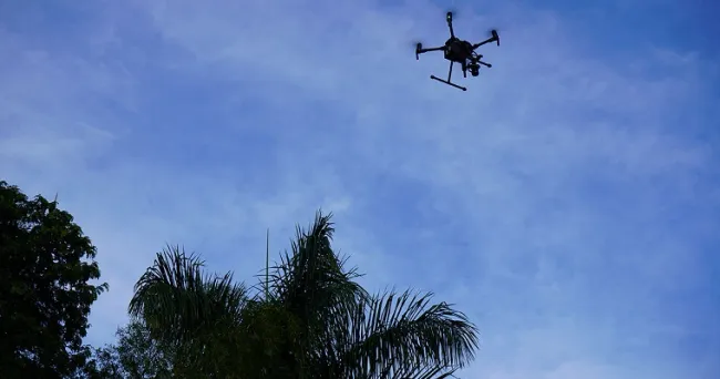 Drones garantizan productividad en el campo ante sequías y enfermedades