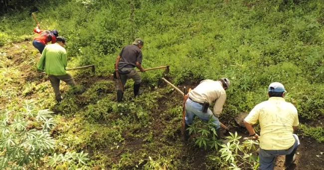 Agroecología, práctica campesina de resistencia latinoamericana