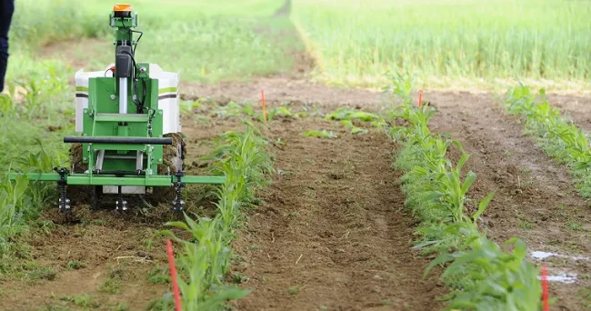 Agricultura digital, de precisión e inteligente, la nueva forma de producir alimentos