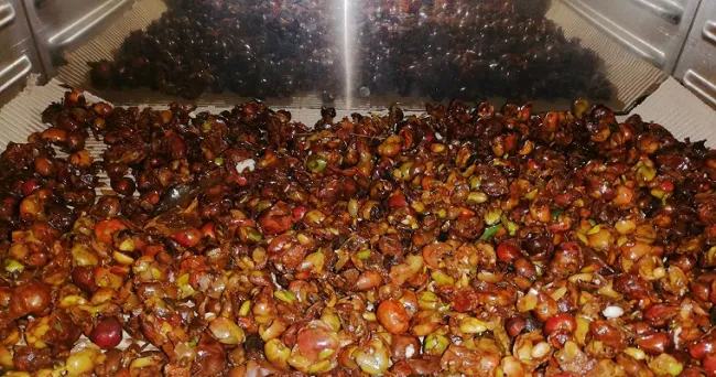 Con residuos de café se obtiene compuesto clave para obtener biocombustibles